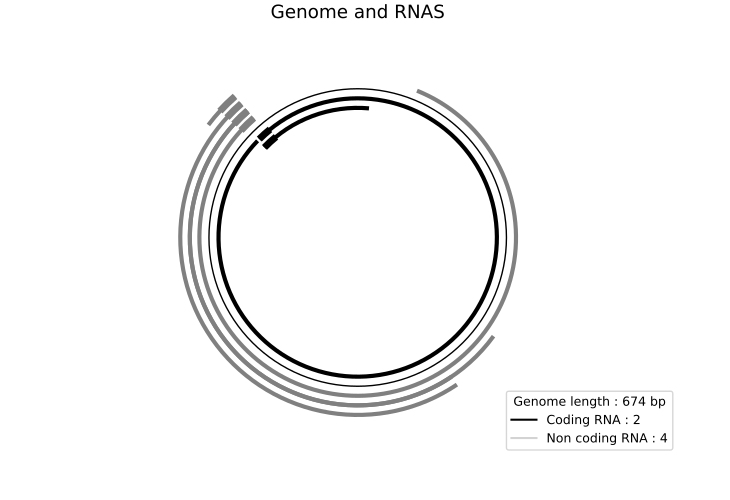 mRNAs identified on the genome