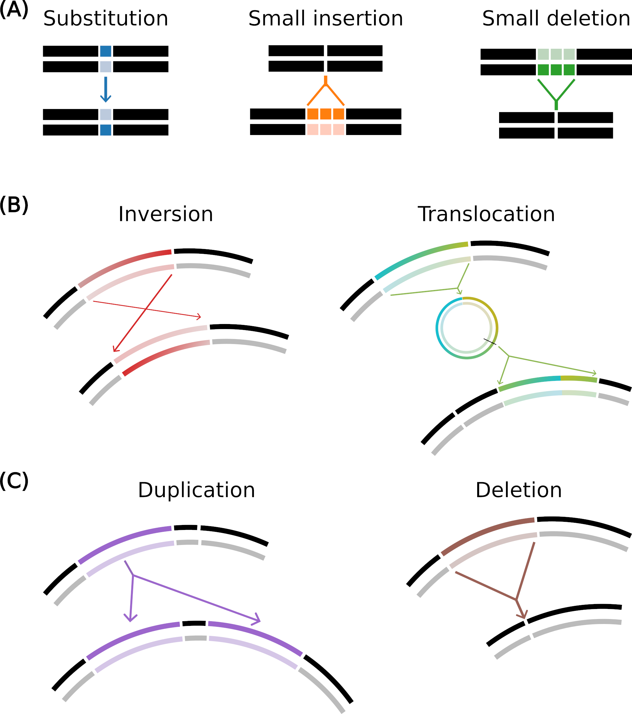 Mutation operators in Aevol